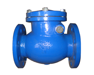 Check Valves